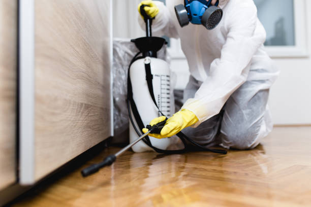 Best Residential Pest Control  in Sun Lakes, AZ