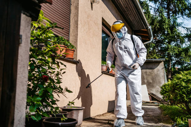 Best Affordable Pest Control Services  in Sun Lakes, AZ