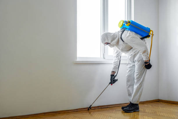 Best Mosquito Control Services  in Sun Lakes, AZ
